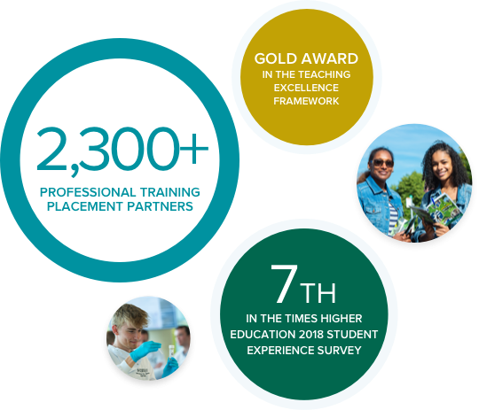 Homepage infographic