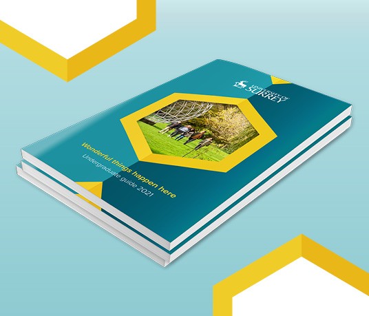 Undergraduate prospectus 2021