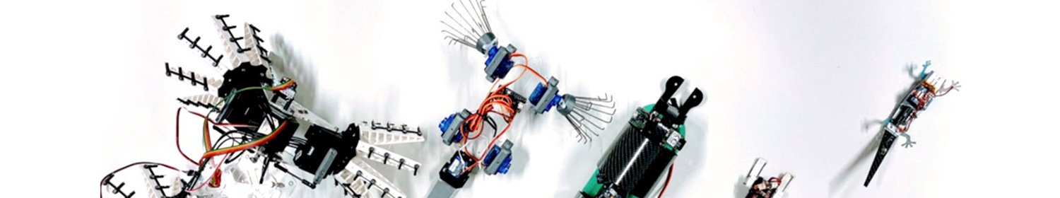 online phd robotics