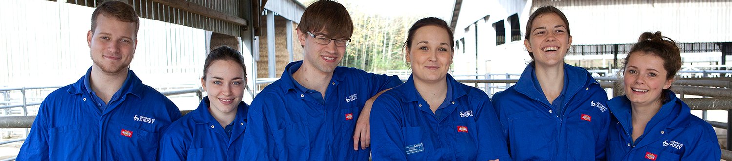 A group of veterinary students
