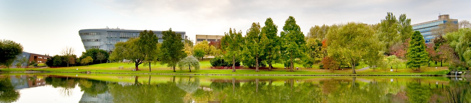 View of campus across the lake