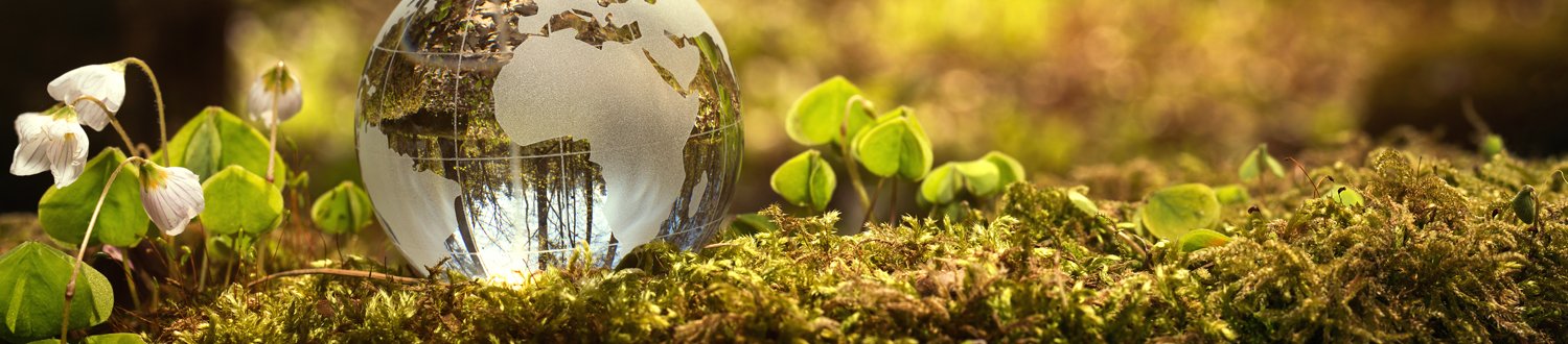 Small glass globe sat on the grass surrounded by flowers