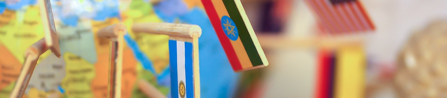 Flags pinned onto a globe