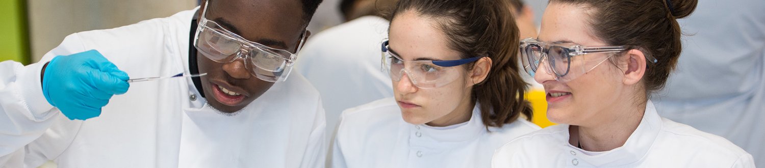 A group of biosciences students looking at a sample