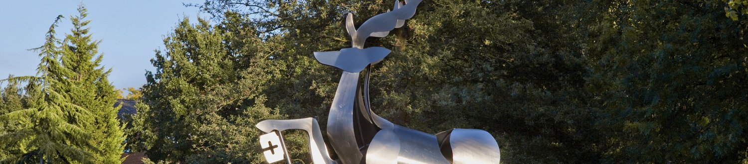 Stag on Stag Hill