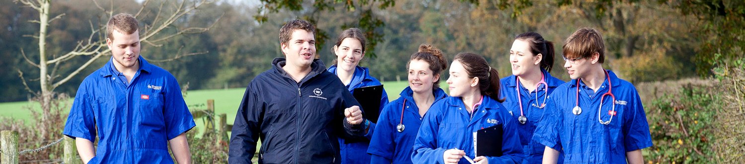 A group of vet students in blue uniforms and their tutor a walking along a country road with a green field in the background. The tutor is talking while they listen attentively