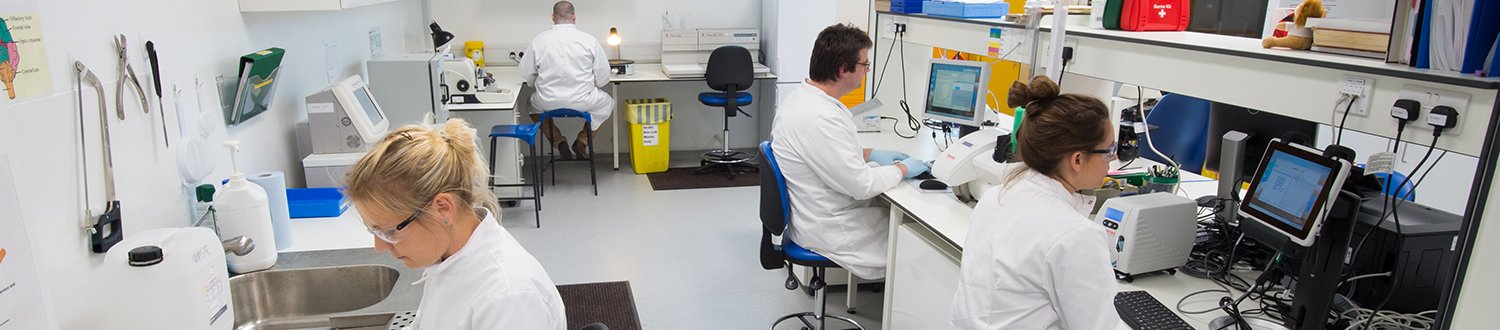 histopathology staff working in the histopathology lab