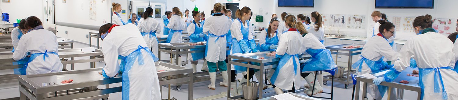 A large group of students are working in the pathology laboratory