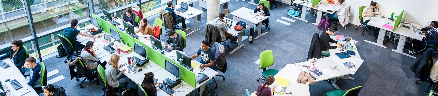 Students sitting in the Library using computers