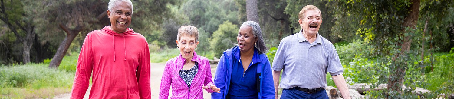 A group of older people are taking a walk together in the park on a sunny day