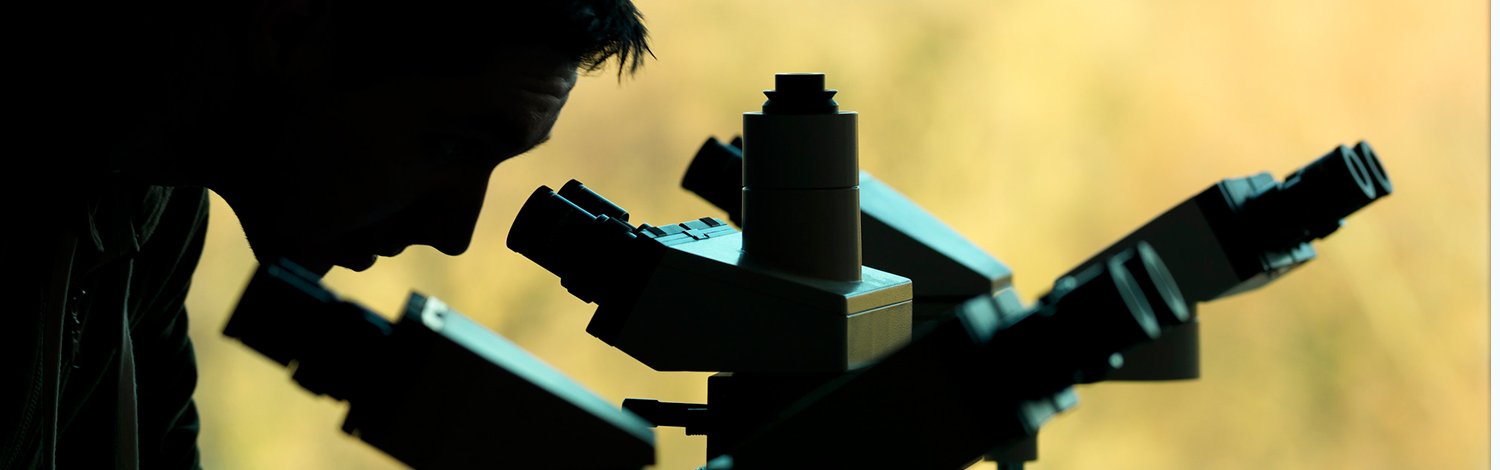 A Student using multi head microscope