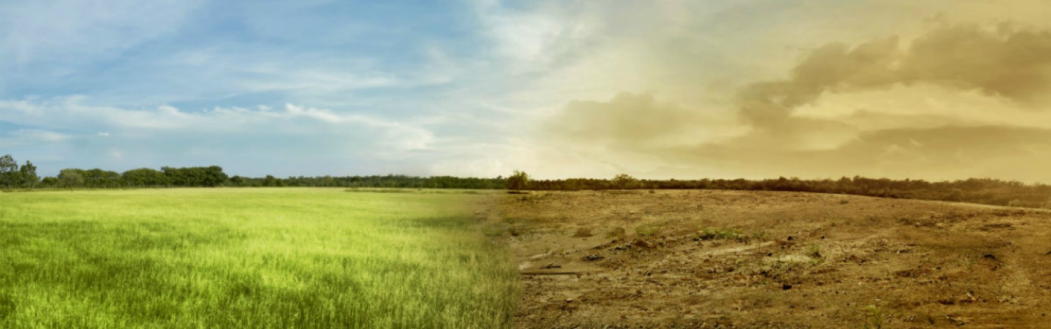 climate-change-hp-banner