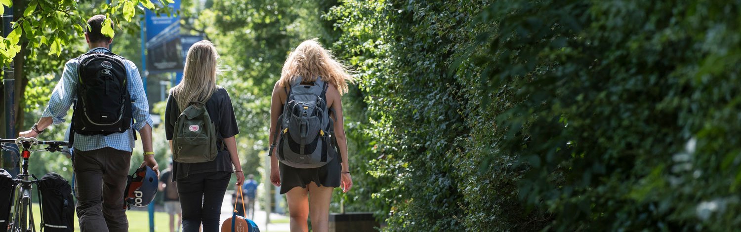 Students walking in the campus