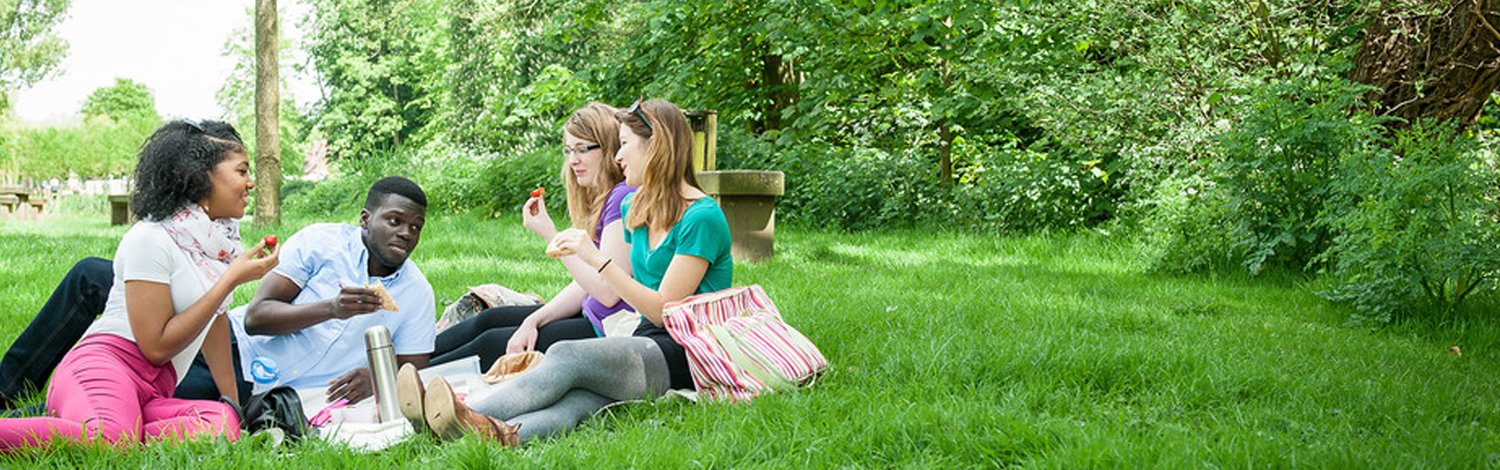 Students having a picnic