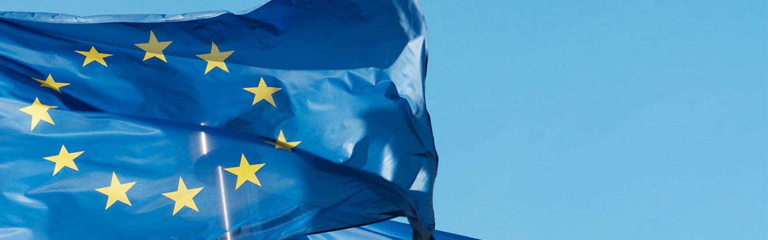 European Union flags