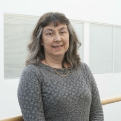 Prof Susanna Hourani
