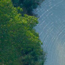 View of lake from above