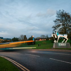 The University of Surrey entrance stag in the evening