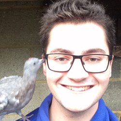 Vet student Dan Letch with a pigeon sitting on his shoulder