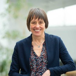 Linda Hoinville