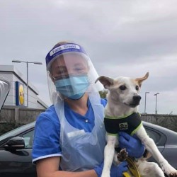 Tamsin Riley holding a dog