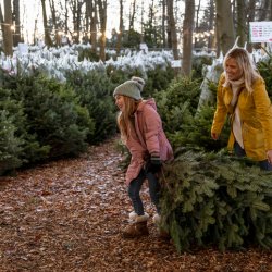Mother and daughter choosing their Christmas tree