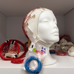 Polysterene head with wires attached