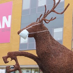 Stag sculpture wearing a face mask