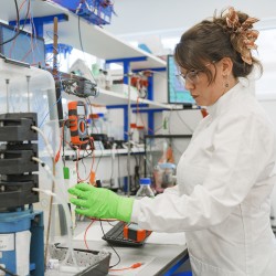 A student in PPE checks on an experiment in the Systems Biology lab at Surrey.