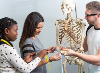 Three students observing a human skeleton