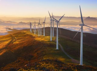 Lots of wind turbines in field at sunset