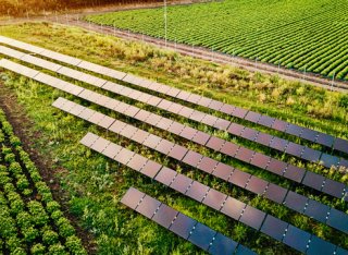 Lots of solar panels in a green field