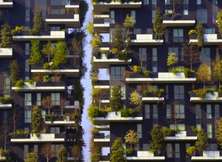 Sustainable plants on the outside of flats