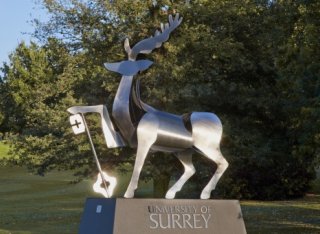 Stag statue on the university campus