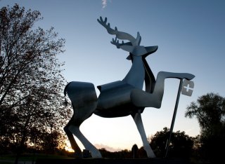 The University of Surrey Stag by the entrance to the campus