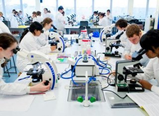 Students in a laboratory