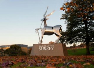 Surrey stag statue in Autumn