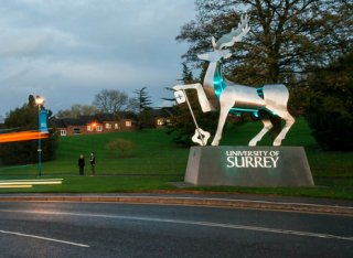 Surrey stag in dusk