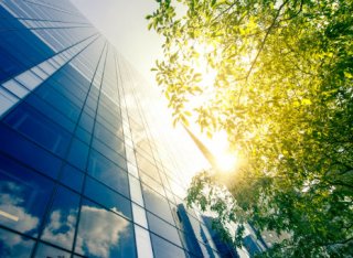 high rise building and tree