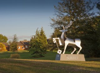 The University of Surrey entrance stag.