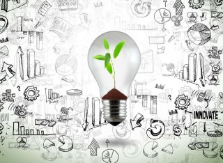 A light bulb is surrounded by various illustrations of environmental policy ideas