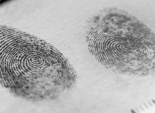 Fingerprint markings and measurements