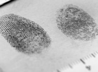 Fingerprint markings and measurements