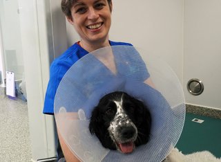 Clare Rusbridge with dog wearing an Elizabethan collar