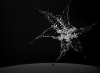 space_net_tease 