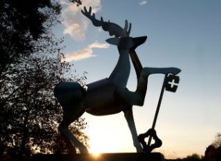 Stag image