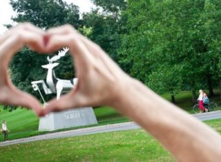 Picture of stag statue through hands in a heart shape