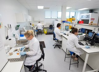 Vets working in the histopathology lab