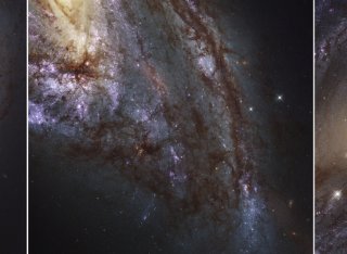 Stars in space