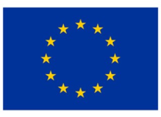 Flag of Europe logo